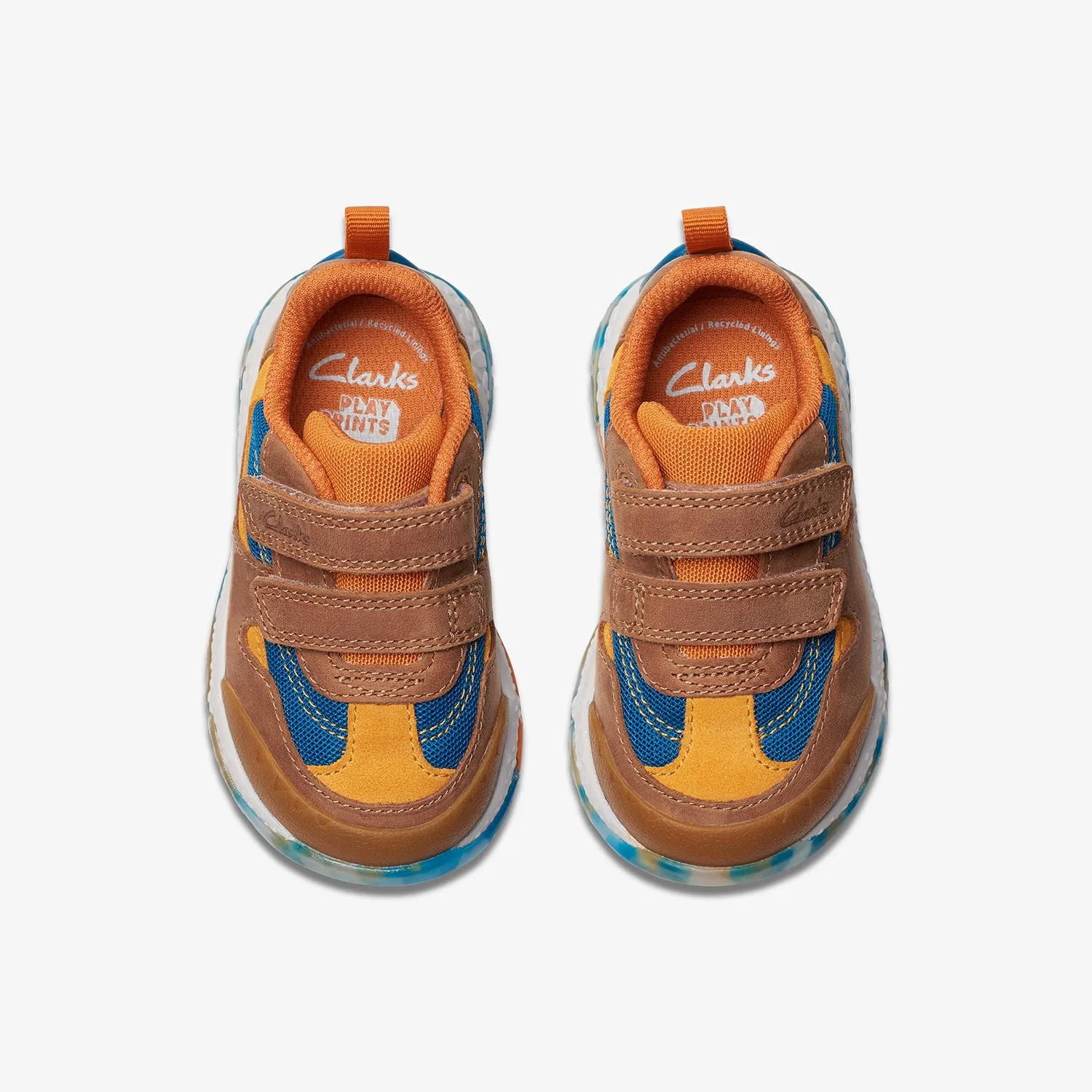 Boys - Steggy Tail Toddler