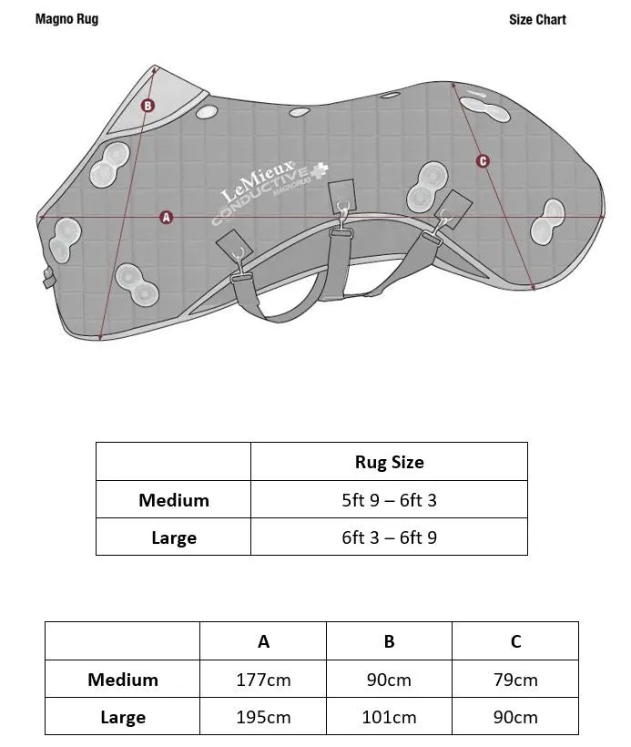 LeMieux Conductive Magno Rug