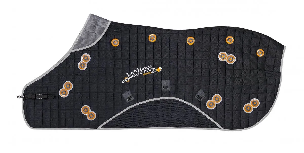 LeMieux Conductive Magno Rug