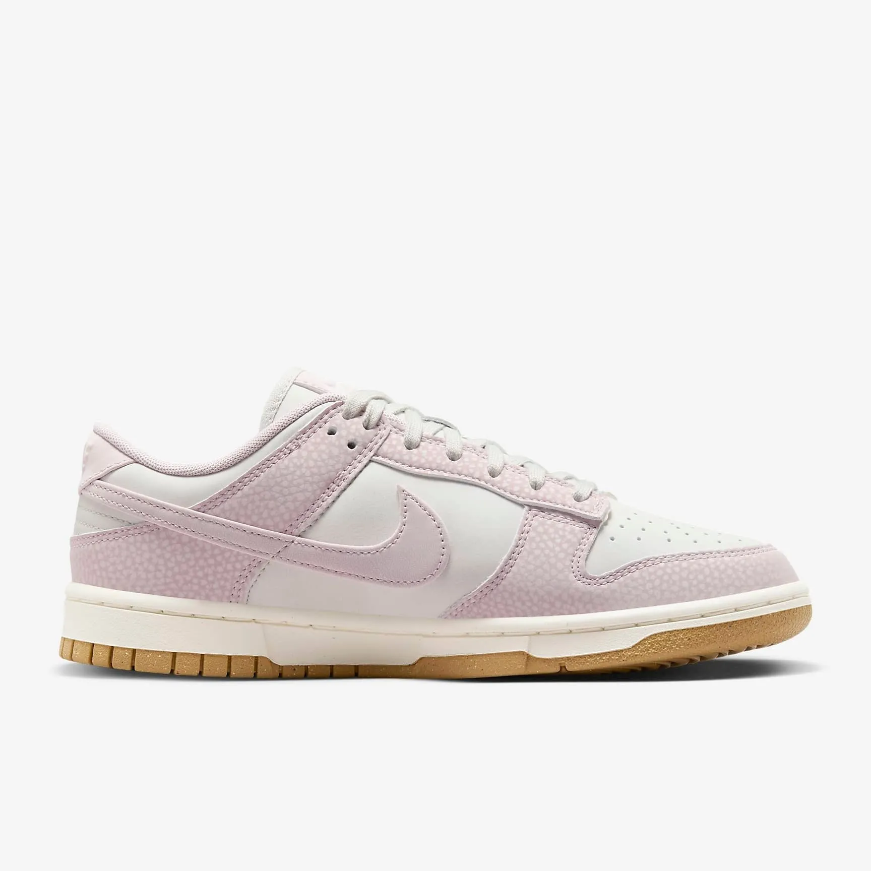 Nike Dunk Low Next Nature Women's Shoes