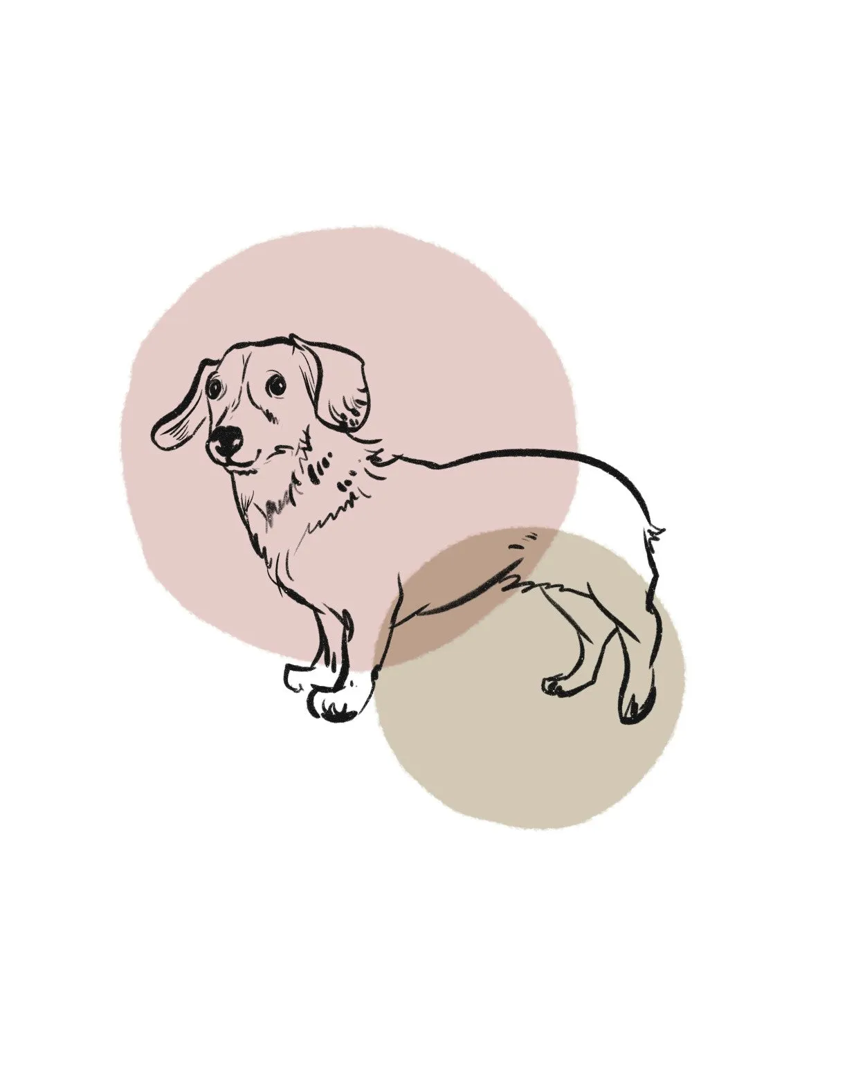 simple dogs