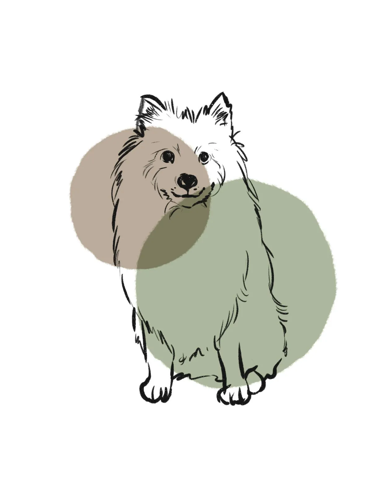 simple dogs