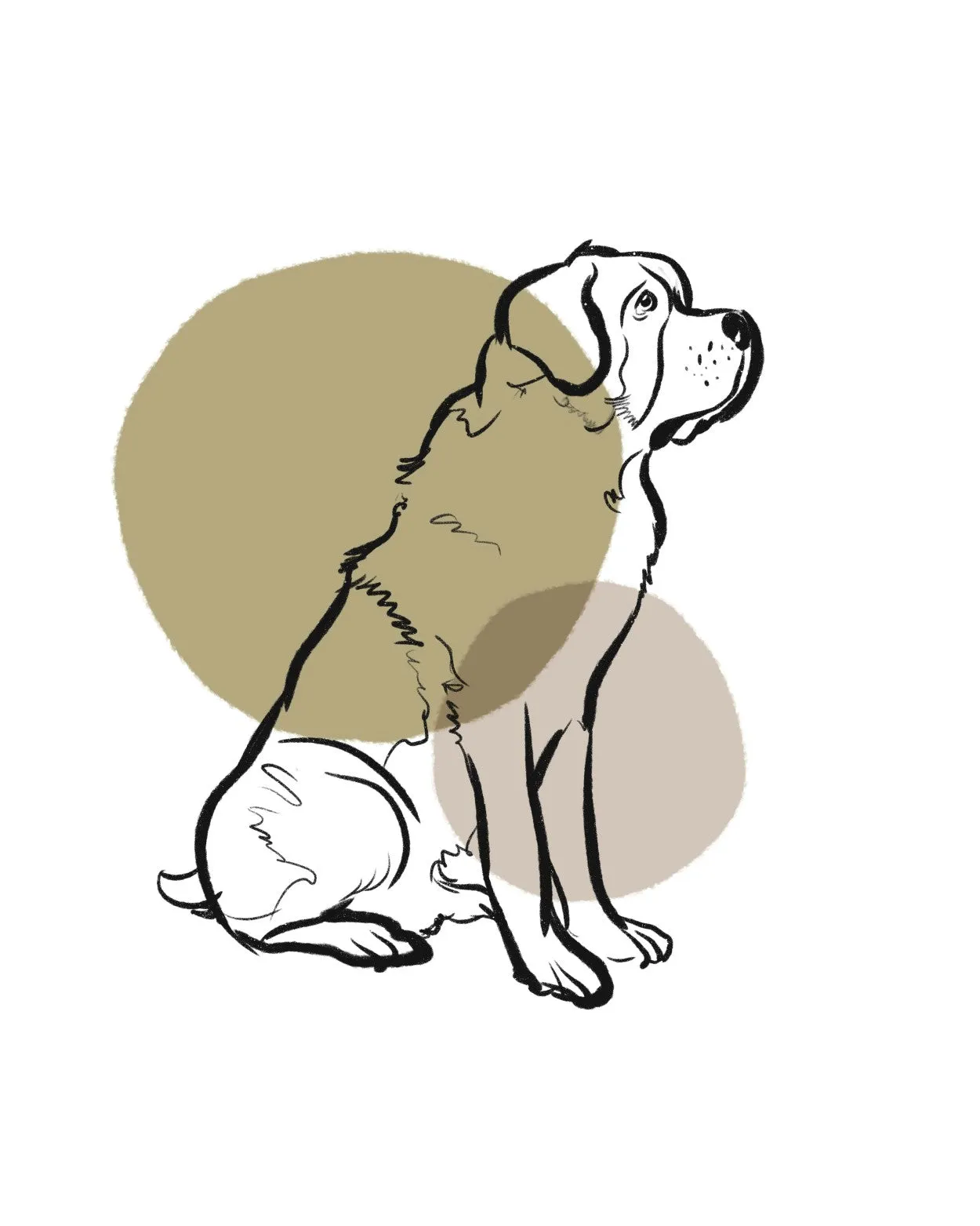 simple dogs