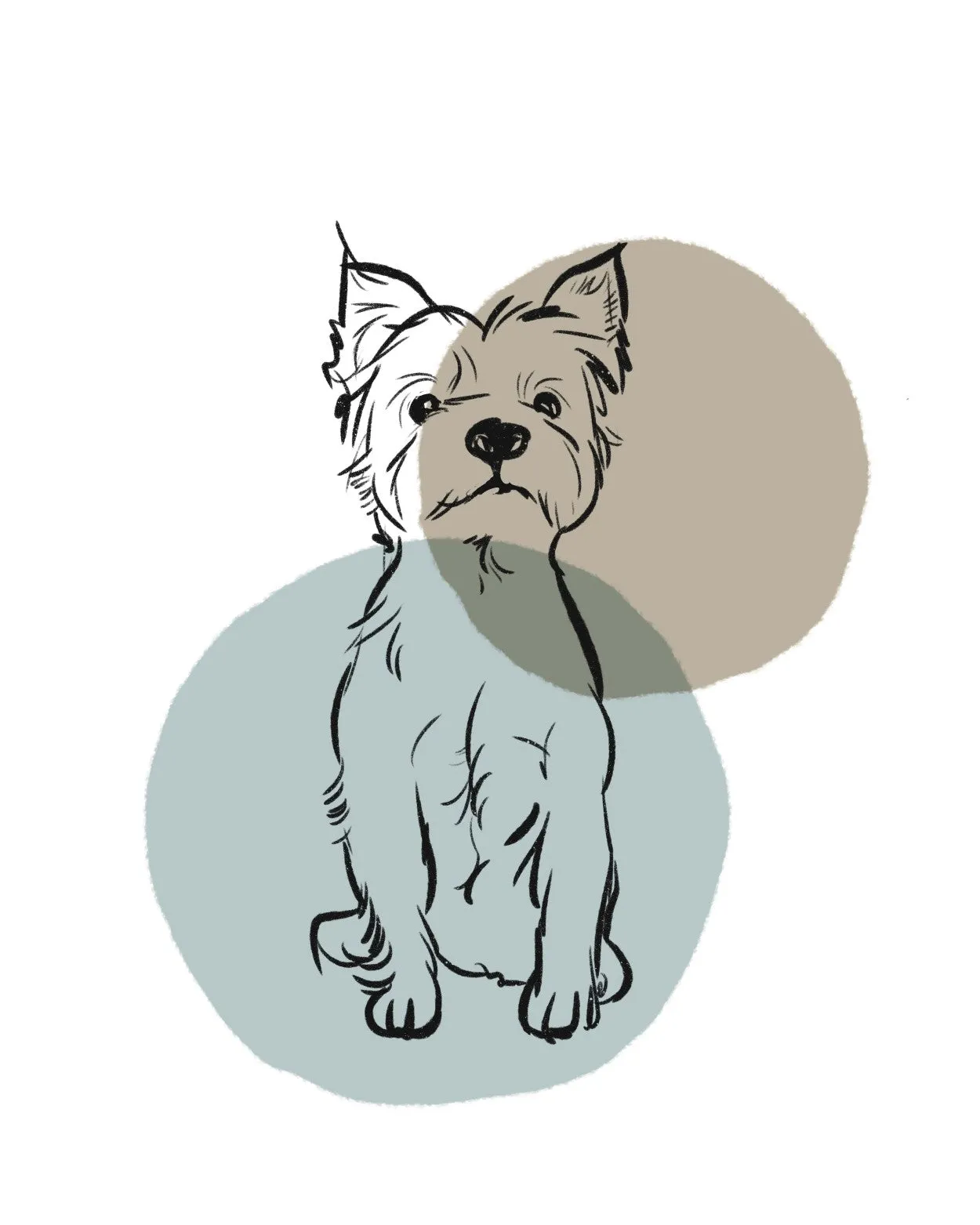 simple dogs