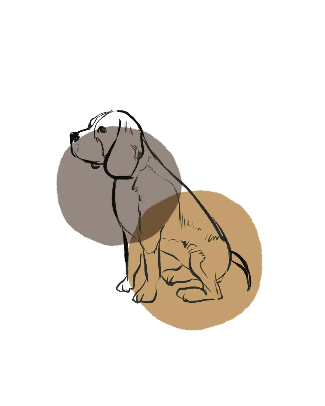 simple dogs