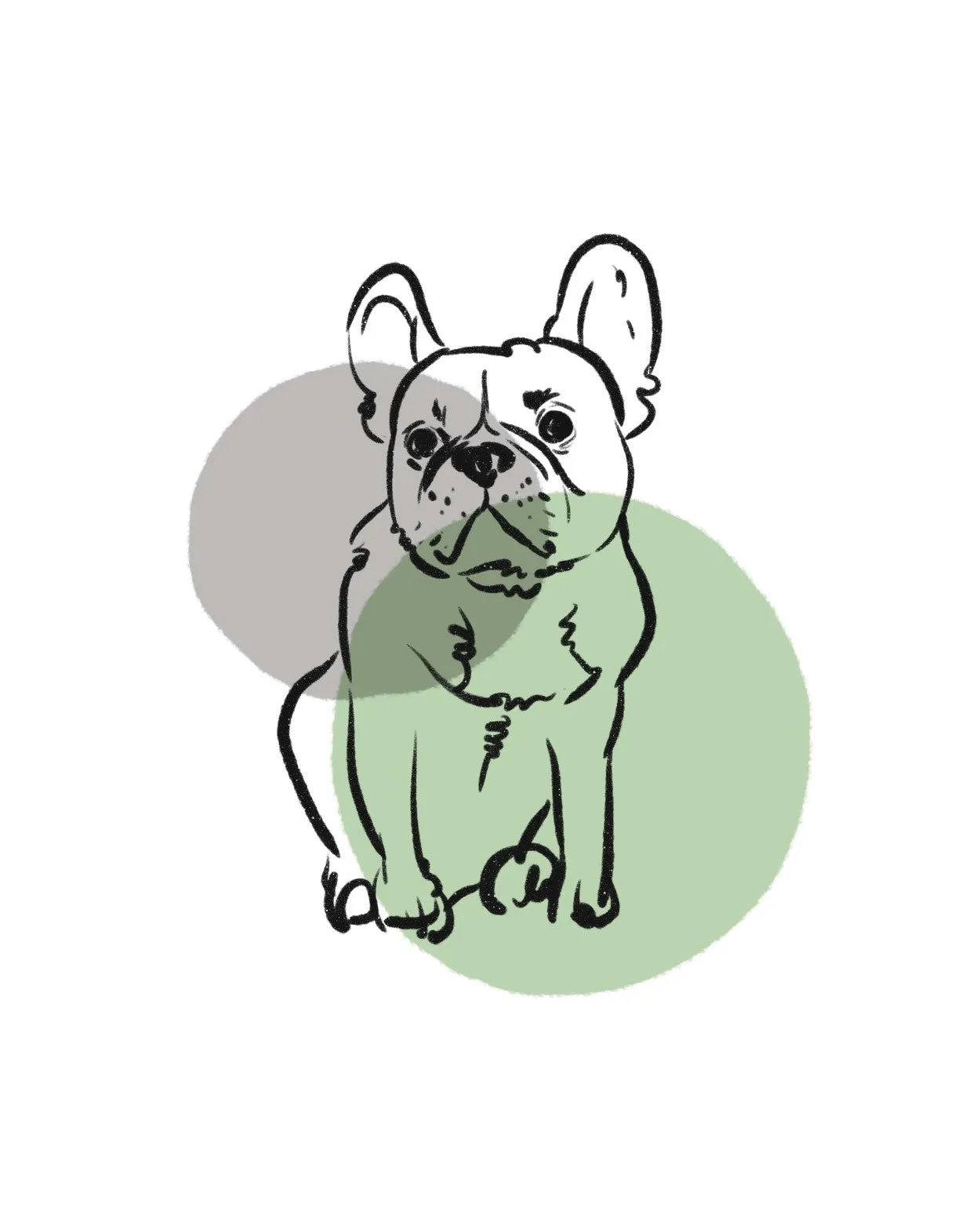 simple dogs