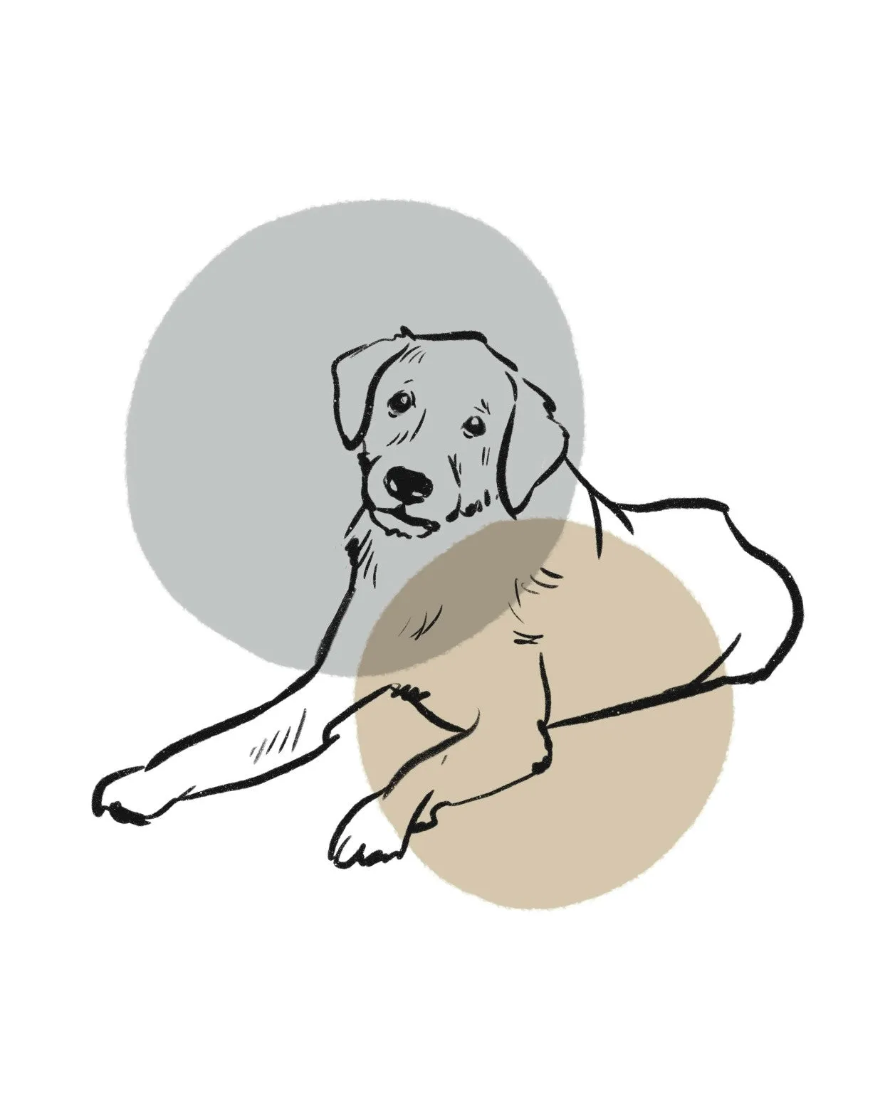simple dogs